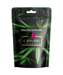 VELATO STRAIN PICTURE