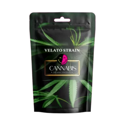 VELATO STRAIN PICTURE