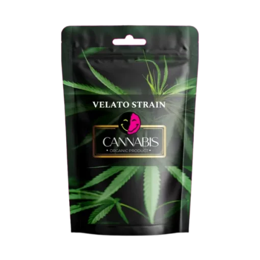 VELATO STRAIN PICTURE